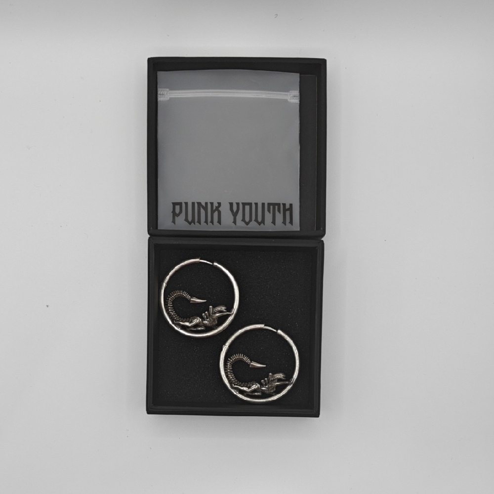 Silver Hoop Earrings